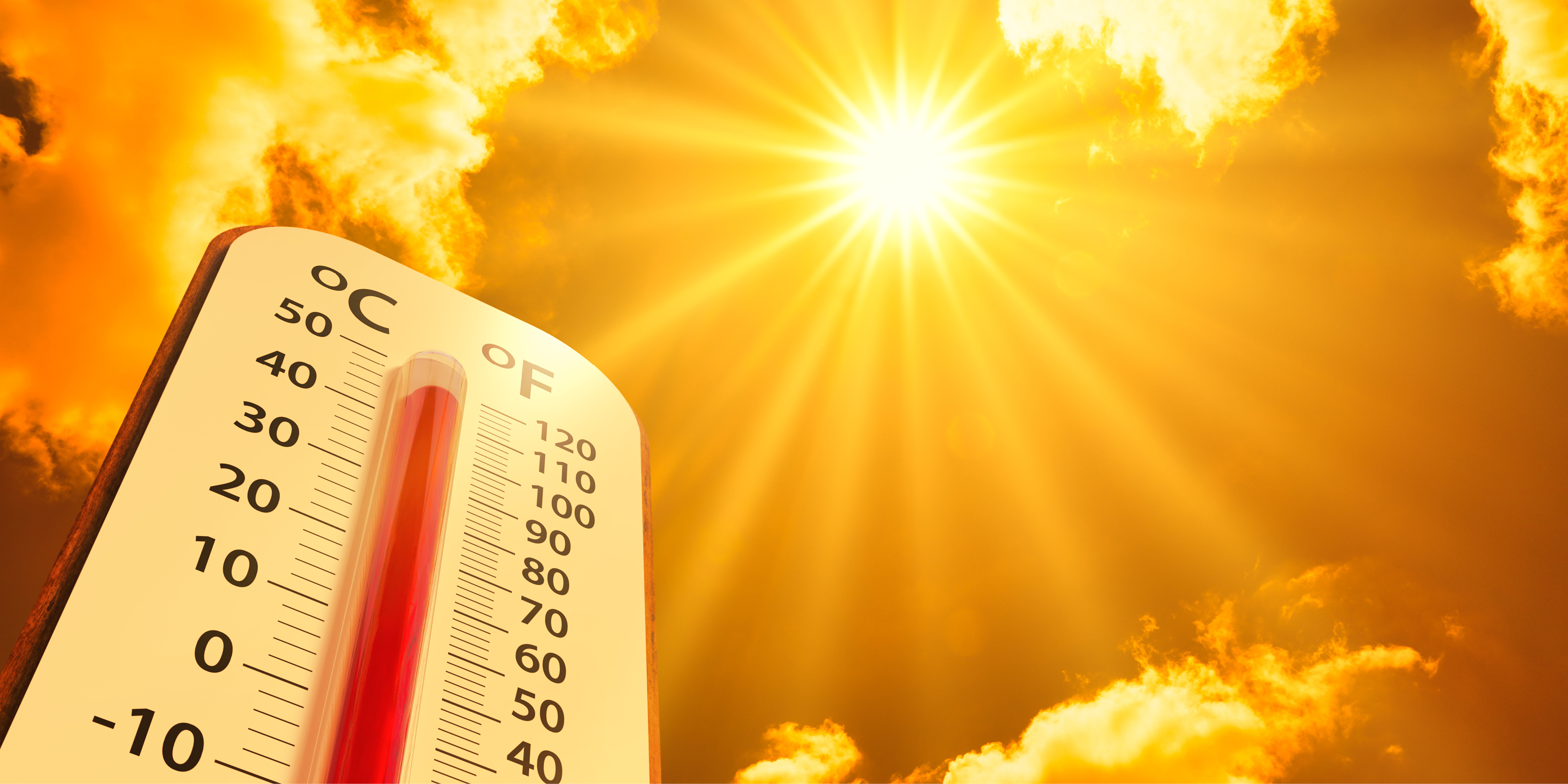 productive studies blog imagery_Blog Image.jpg